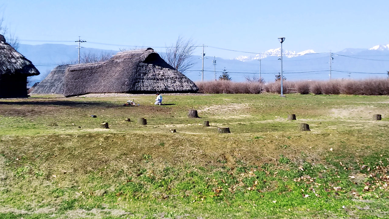 地域課題への取り組み