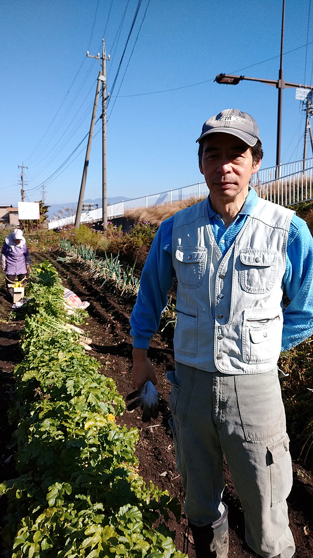 国道沿いにある畑です。　国道の反対側の山沿いの畑では猿の被害にあっているところもあります。